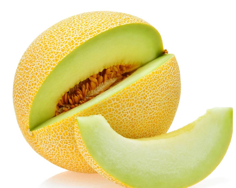 galia_melon_0.JPG