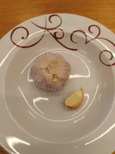 garlic.jpg