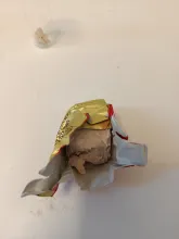 yeast.jpg