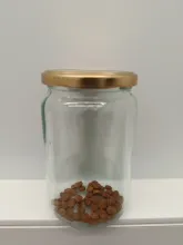 catfood_psychophysics.jpg