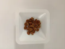 catfood_weight_5gr.jpg