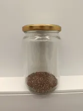 chia_psychophysics.jpg.jpg