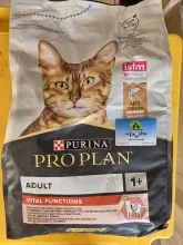 catfood_purina.jpg
