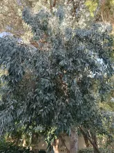 img_20241014_083052.jpg