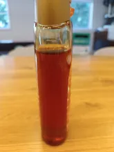 honey.jpg