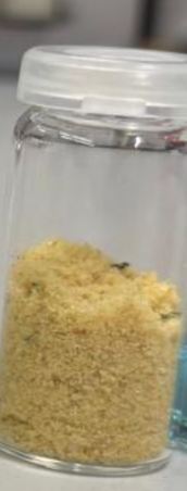chickenstock.JPG